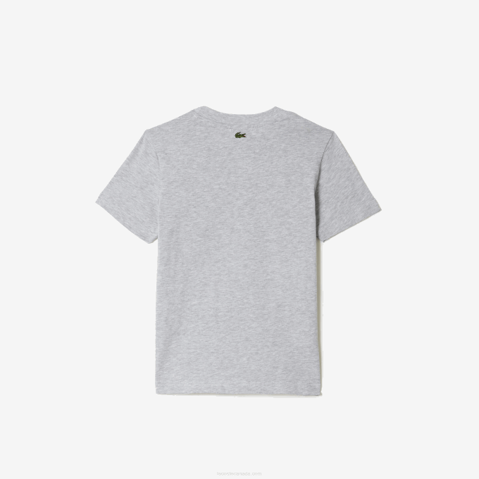 Kids Lacoste V0ZN3041 Grey Chine CCA Contrast Print Cotton Jersey T-Shirt - Image 2