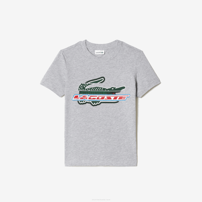 Kids Lacoste V0ZN3041 Grey Chine CCA Contrast Print Cotton Jersey T-Shirt - Image 1
