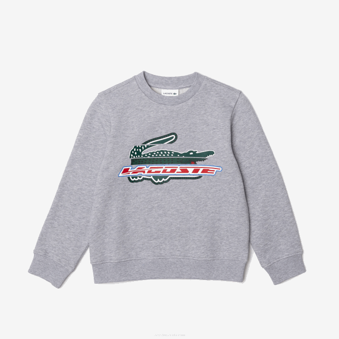 Kids Lacoste V0ZN3050 Grey Chine CCA Organic Cotton Fleece Sweatshirt - Image 1