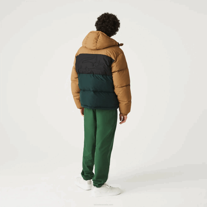 Men Lacoste V0ZN1227 Brown Black Green TPV Quilted Colorblock Water-Repellent Jacket - Image 3