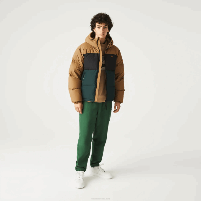 Men Lacoste V0ZN1227 Brown Black Green TPV Quilted Colorblock Water-Repellent Jacket - Image 8