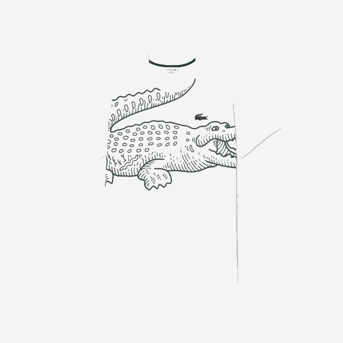 Men Lacoste V0ZN136 White 001 Loose Fit Cotton T-shirt - Plus Size - Tall - Image 1