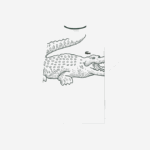 Men Lacoste V0ZN227 White 001 Loose Fit Jersey T-shirt - Plus Size - Big