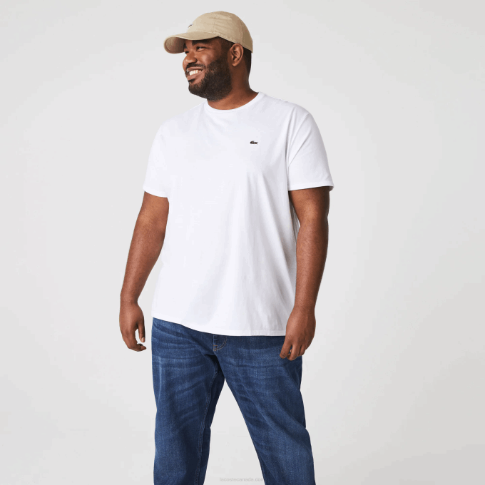 Men Lacoste V0ZN36 White 001 Crew Neck Pima Cotton Jersey T-Shirt - Image 6