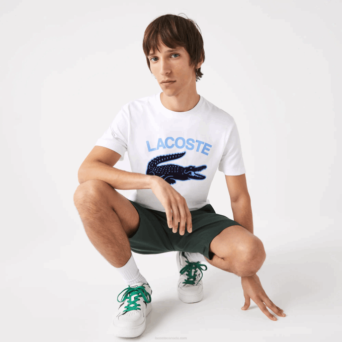 Men Lacoste V0ZN570 White 001 Regular Fit XL Crocodile Print T-Shirt - Image 1