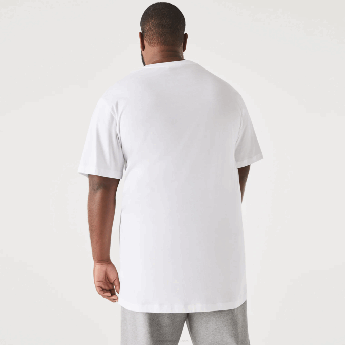 Men Lacoste V0ZN651 White 001 XL Regular Fit Pima Cotton Jersey T-Shirt - Image 3