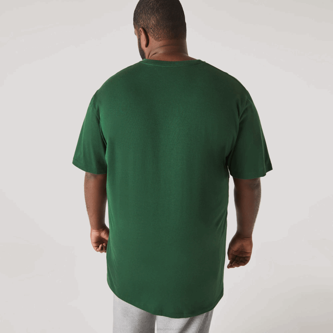 Men Lacoste V0ZN823 Green 132 Regular Fit Ribbed V-Neck Cotton Polo Shirt (Plus Size) - Image 3