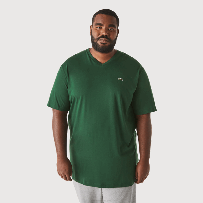 Men Lacoste V0ZN823 Green 132 Regular Fit Ribbed V-Neck Cotton Polo Shirt (Plus Size) - Image 1
