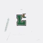 Women Lacoste V0ZN2578 White 001 Oversized Print And Branded Sweatshirt - Image 5